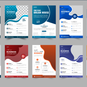 Flyers Promocionales (500 unidades)